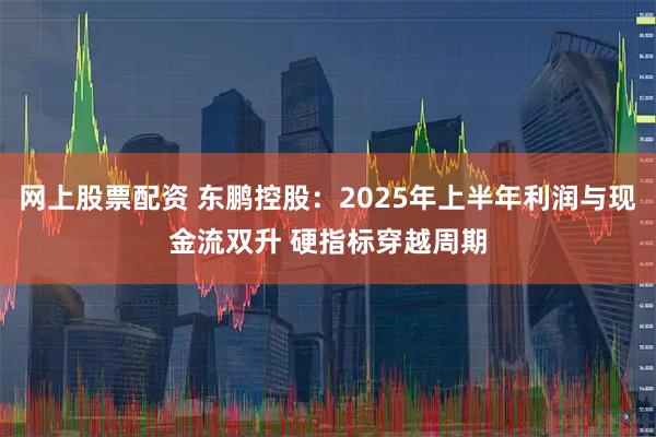 网上股票配资 东鹏控股：2025年上半年利润与现金流双升 硬指标穿越周期