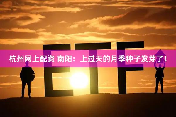 杭州网上配资 南阳：上过天的月季种子发芽了！
